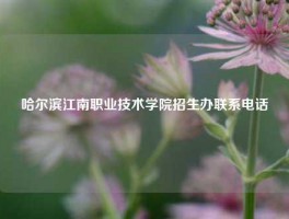 哈尔滨江南职业技术学院招生办联系电话